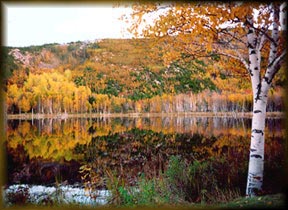 Acadia National Park Photo