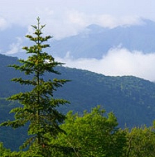 Great Smoky Mountains National Park