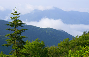 Great Smoky Mountains National Park Picture