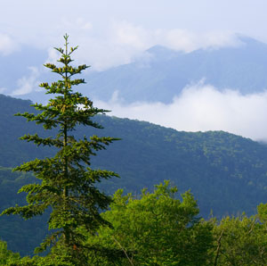 Great Smoky Mountains National Park photo by Jim Roth