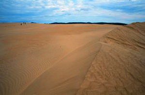Sand Dunes at Kobuk Valley National Park Picture by NPS