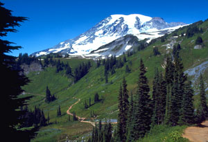 Mount Rainier National Park NPS picture