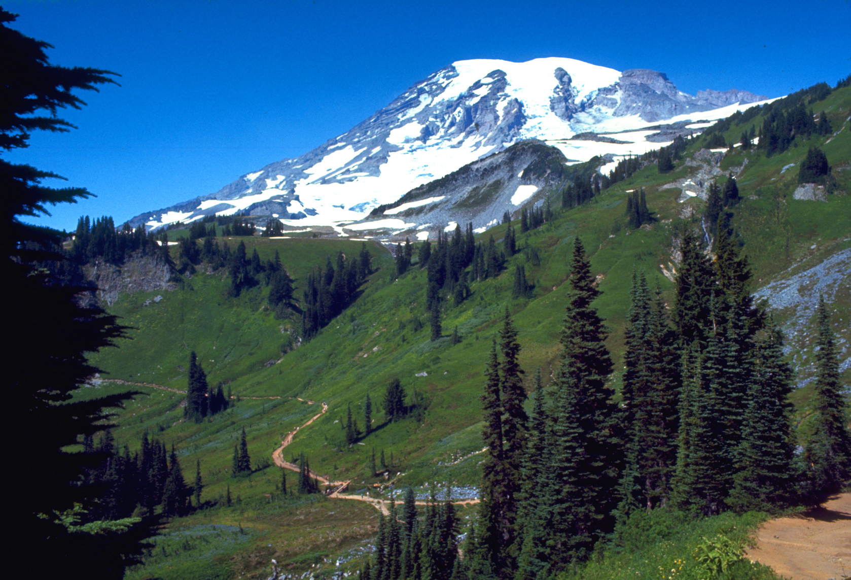 MOUNT RAINIER NATIONAL PARK NPS picture