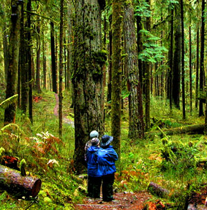 Olympic National Park picture by NPS
